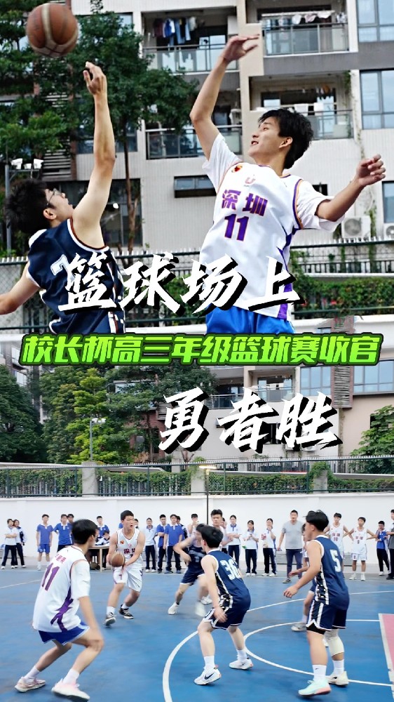 籃球場上，勇者勝！晟才第三屆校長杯高三年級籃球賽順利收官！